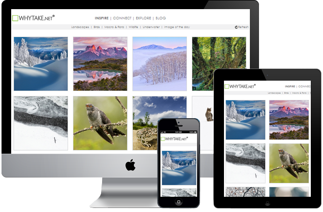 responsive web design